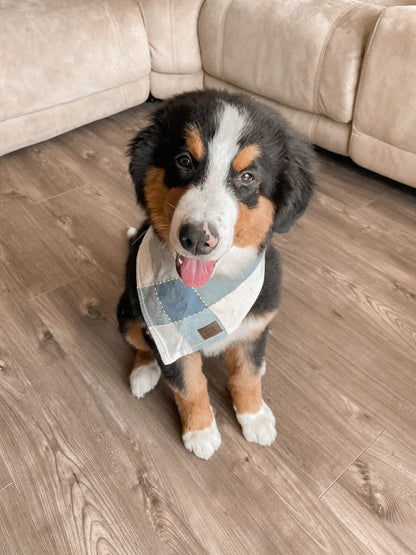 Small Dog Bandanas